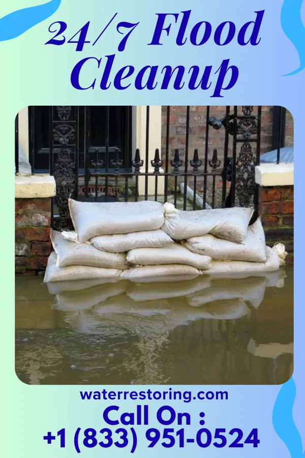 24/7 Flood Cleanup in Cisco, IL