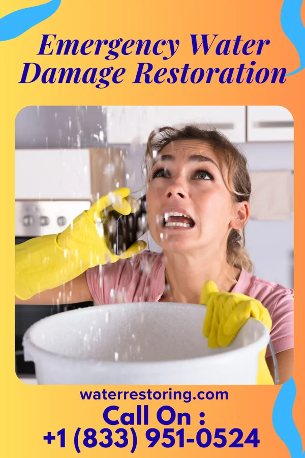 Emergency Water Damage Restoration in Cisco, IL