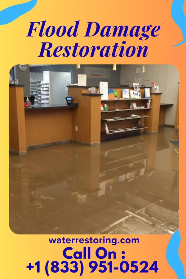Flood Damage Restoration in Cisco, IL